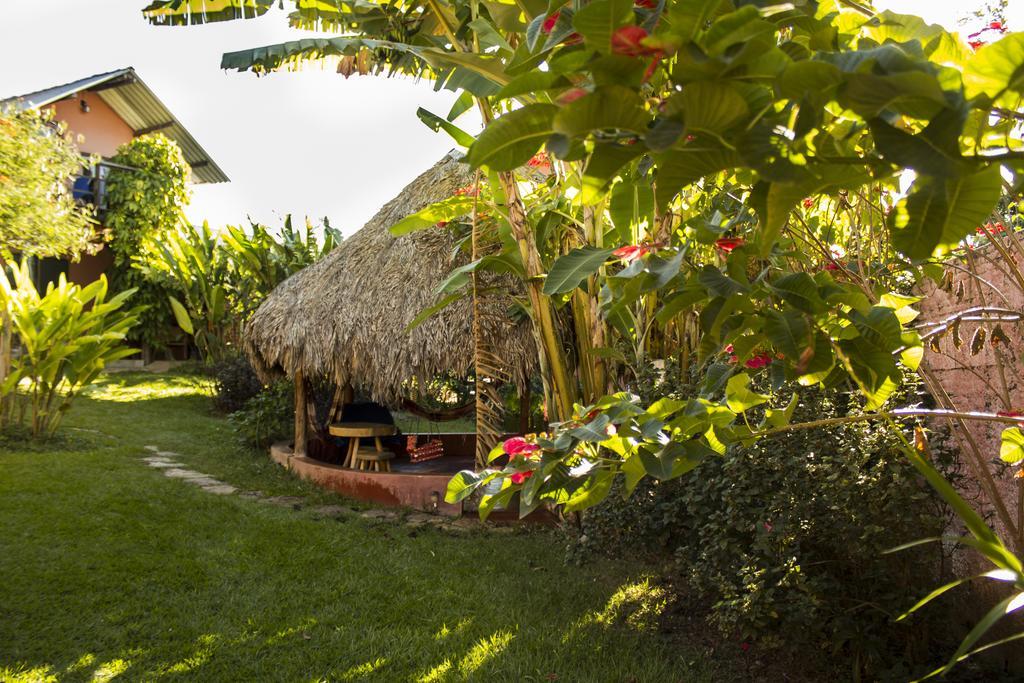 Buddy'S Hostel & Pousada Alto Paraiso Alto Paraíso de Goiás エクステリア 写真