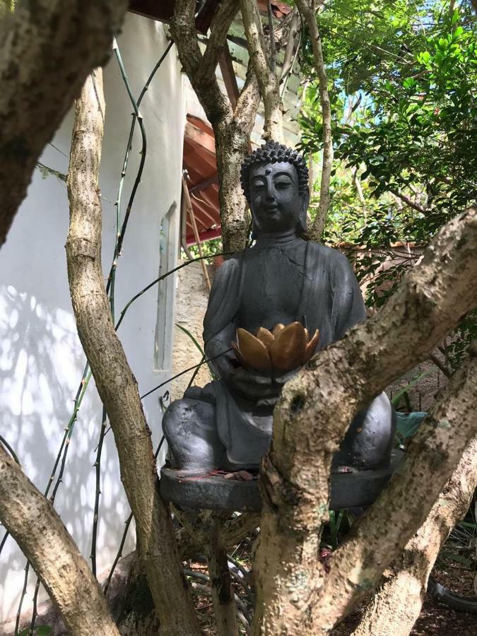 Buddy'S Hostel & Pousada Alto Paraiso Alto Paraíso de Goiás エクステリア 写真